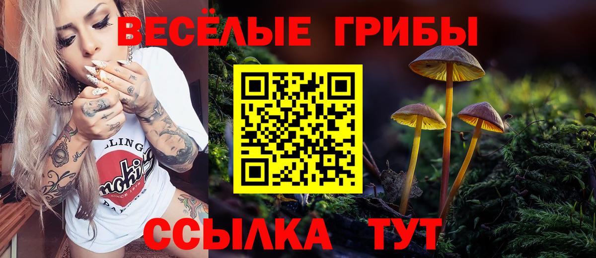 Галлюциногенные грибы ЛСД  Галлюциногенные грибы Psilocybine cubensis  Вход с VPN  Анапа 